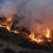 Habrá cárcel para quién provoque incendios forestales en Tamaulipas